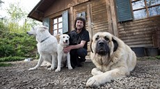 Vycení zuby i kousne. Tak léčí známý psí psycholog Rudolf Desenský. Vycení zuby i kousne. Tak léčí známý psí psycholog Rudolf Desenský.