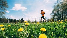Vltava Run - to jsou samá panoramata! Vltava Run - to jsou samá panoramata!