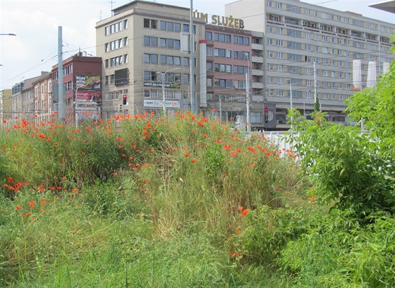 K zvýení úrovn centra Pardubic chybí promna Palackého tídy a Masarykova námstí.