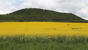 Na Karlovarsku nali keltské cisterny