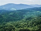 Letecký snímek zachycuje ást Rýchorského pralesa (dole vpravo) a Sklenáovické...