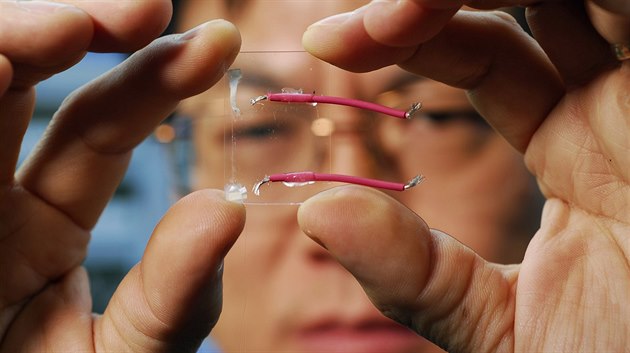 Čung Lin Wang předvádí základ technologie nanogenerátorů elektřiny: drát, ve... Čung Lin Wang předvádí základ technologie nanogenerátorů elektřiny: drát, ve...