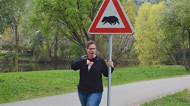 RUNGO.cz chodecká výzva: nebuďme hroši a zhubněme chůzí RUNGO.cz chodecká výzva: nebuďme hroši a zhubněme chůzí