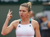 Simona Halepov slav postup do tvrtfinle Roland Garros.