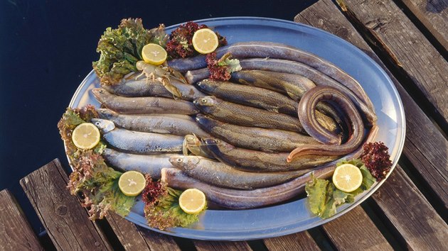 Gardsk ryby v nabdce restaurace Vecchia Lugana Trattoria ve msteku Sirmione