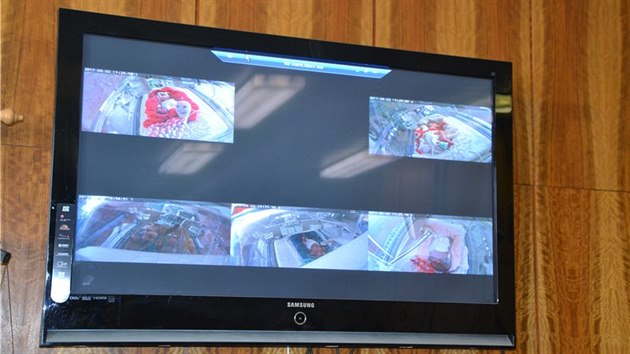 steck nemocnice zskala kamery, dky kterm mohou mt rodie tyiadvacetihodinov vizuln kontakt s nedonoenm miminkem v inkubtoru.