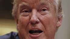 Americký prezident Donald Trump (7. června 2017) Americký prezident Donald Trump (7. června 2017)