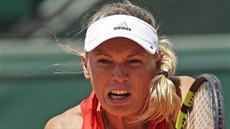 Dánka Caroline Wozniacká bhem tvrtfinále Roland Garros.