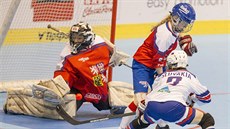 Momentka ze zápasu MS v hokejbale mezi hráčkami Česka a Slovenska Momentka ze zápasu MS v hokejbale mezi hráčkami Česka a Slovenska