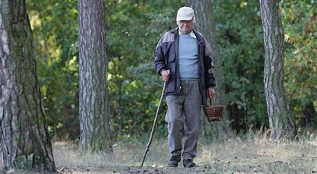 Policie hledala ztracené polské houbae zbyten, sedli doma. (ilustraní snímek)