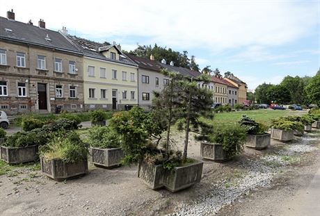 Z nkterých betonových kvtiná u rostou stromky. Lidé z radnice je do...