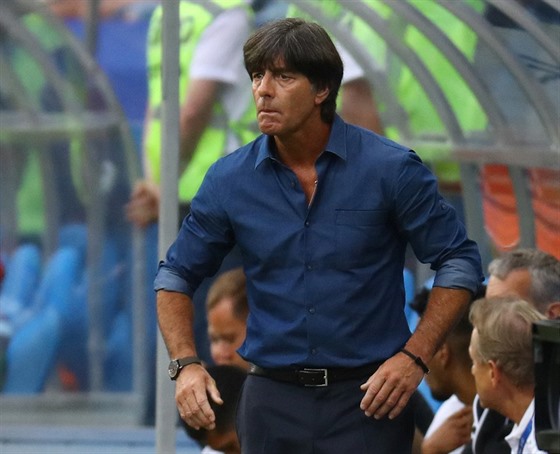 Kou nmeckých fotbalist Joachim Löw.