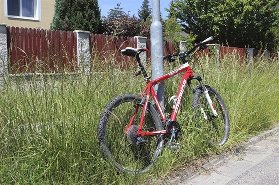 Ve Vnitní ulici rostla jet ve tvrtek 15. ervna metr vysoká tráva.