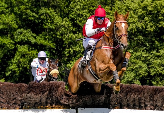 Josef Barto a Dangerous Gleam na trati pardubického Zlatého poháru