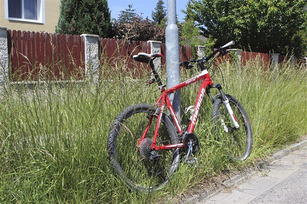 Ve Vnitní ulici rostla jet ve tvrtek 15. ervna metr vysoká tráva.