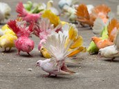 Ptáci se stěhují do měst kvůli potravě, ale museli se naučit jinak zpívat, aby... Ptáci se stěhují do měst kvůli potravě, ale museli se naučit jinak zpívat, aby...