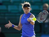 Lucie afov na turnaji v Nottinghamu.