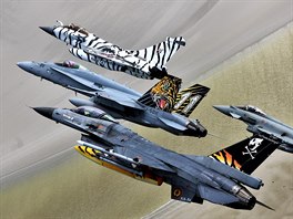 Spolen let vlajkovch letoun tygch letek z Belgie (F-16), vcarska...