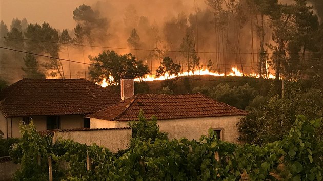 Portugalsko suují rozsáhlé lesní poáry (19. ervna 2017)