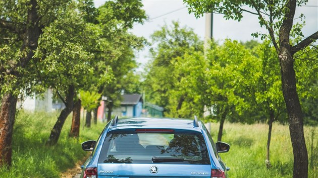 Sande se dky pomoci svateban splnilo velk pn. Dostala auto.