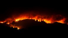 Lesní poár poblí msta Pedróg&#227;o Grande v centrálním Portugalsku (18....