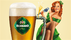 Kampa pivovaru Bernard. Pin-up dívky propagují pivní speciály. Jejich...