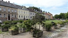 Z některých betonových květináčů už rostou stromky. Lidé z radnice je do... Z některých betonových květináčů už rostou stromky. Lidé z radnice je do...