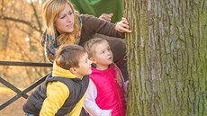 Jaroměřská základní škola Křišťál vyučuje podle Jenského plánu. Jaroměřská základní škola Křišťál vyučuje podle Jenského plánu.