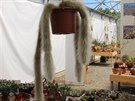Botanická zahrada Botanická zahrada