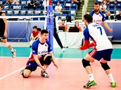 Čeští volejbalisté do 21 let v akci. Čeští volejbalisté do 21 let v akci.
