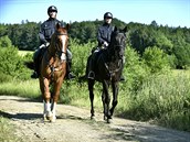 Po lupičích u Slavičína pátrala i jízdní policie. Po lupičích u Slavičína pátrala i jízdní policie.