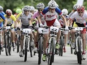 Poslední letní Olympiádu dětí a mládeže přivítala v roce 2015 Plzeň, i Brno se... Poslední letní Olympiádu dětí a mládeže přivítala v roce 2015 Plzeň, i Brno se...