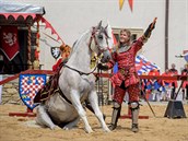 Královské stříbření Kutné Hory. za nápadem stojí historička a ředitelka Českého... Královské stříbření Kutné Hory. za nápadem stojí historička a ředitelka Českého...