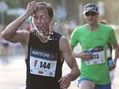Běžci na trati olomouckého půlmaratonu 2017, který opět provázely teploty na... Běžci na trati olomouckého půlmaratonu 2017, který opět provázely teploty na...
