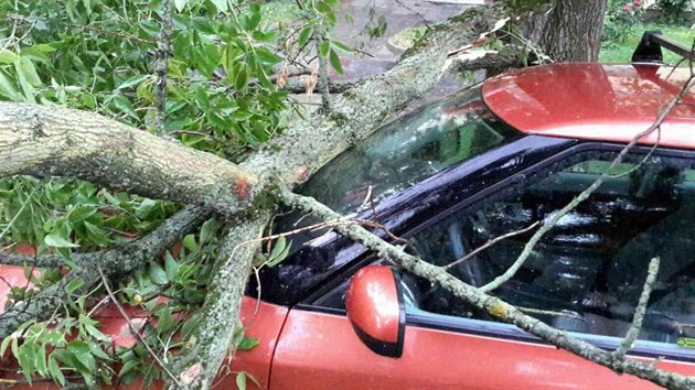 Pd stromu v Perov pokodil zaparkovan auto (22.6.2017)