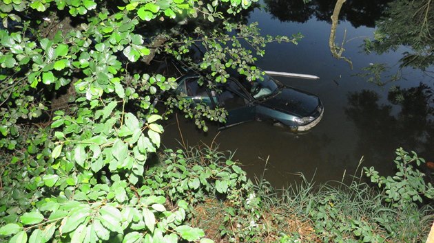 Devatenctilet idi vrazil do stromu, auto pak skonilo v rybnce. Jeden ze spolujezdc nehodu nepeil.