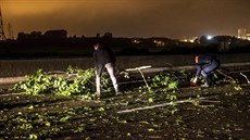 Migranti v Calais házejí na vozovku stromy, aby zastavili nákladní aut míící...