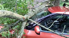 Pád stromu v Perov pokodil zaparkované auto (22.6.2017)