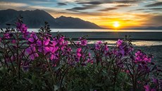 Jezero Kluane (v jazyce Čučonů Lu’An Mün – „jezero s mnoha rybami“), je... Jezero Kluane (v jazyce Čučonů Lu’An Mün – „jezero s mnoha rybami“), je...