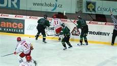 Hrál juniorskou extraligu za Vsetím a Tinec.