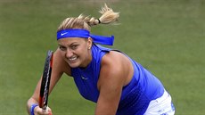Petra Kvitová ve finále turnaje v Birminghamu