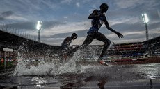 Momentka z atletického mítinku Zlatá tretra Momentka z atletického mítinku Zlatá tretra