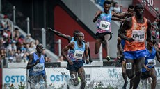 Momentka z atletického mítinku Zlatá tretra Momentka z atletického mítinku Zlatá tretra