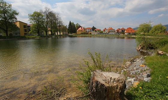 Hornobránský rybník v eském Krumlov na snímku z roku 2014.