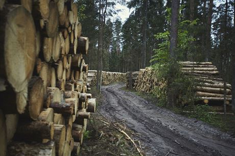 Tempo tby se zvyuje nad plán domluvený se zástupci UNESCO, kritizují postup...