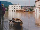 Pes a lun pi povodni v roce 1997 v Ústí nad Orlicí.