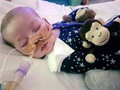 Jedenáctiměsíční Charlie Gard trpící nevyléčitelným syndromem mitochondriálního... Jedenáctiměsíční Charlie Gard trpící nevyléčitelným syndromem mitochondriálního...