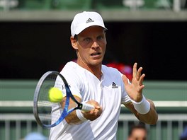 Tom Berdych returnuje v duelu 2. kola Wimbledonu.