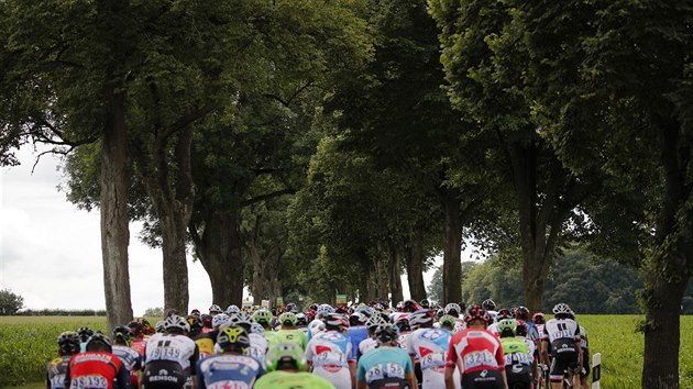 Cyklist pod baldachnem strom ve tet etap Tour de France.
