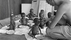 Válka v Biafře. Podvyživené děti uprchlíků v Gabonu (1967) Válka v Biafře. Podvyživené děti uprchlíků v Gabonu (1967)